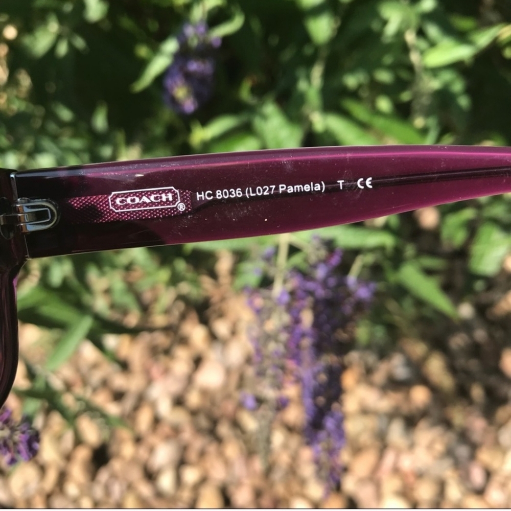 Coach Pamela Sunglasses Purple